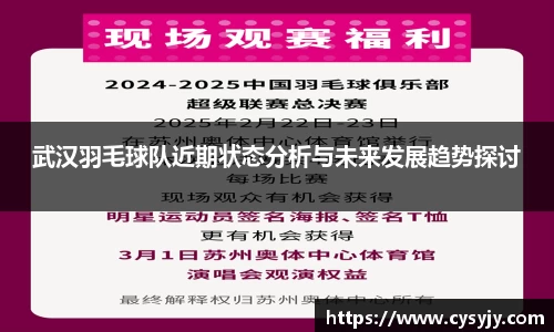 武汉羽毛球队近期状态分析与未来发展趋势探讨