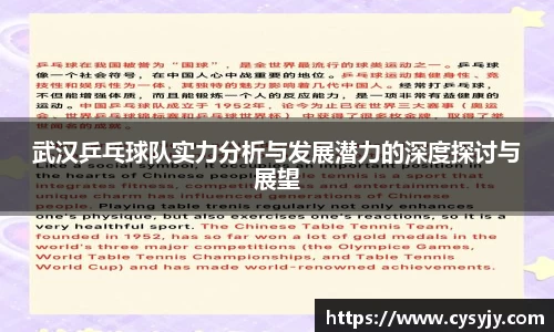 武汉乒乓球队实力分析与发展潜力的深度探讨与展望