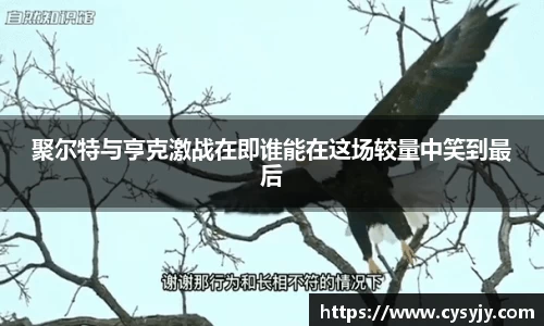 聚尔特与亨克激战在即谁能在这场较量中笑到最后