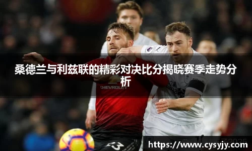 桑德兰与利兹联的精彩对决比分揭晓赛季走势分析