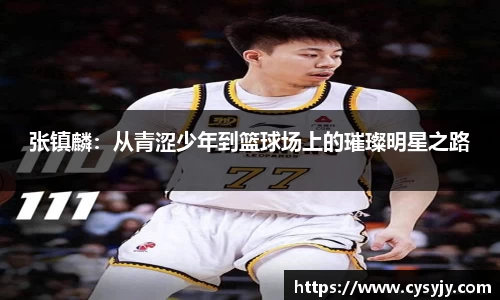 张镇麟：从青涩少年到篮球场上的璀璨明星之路