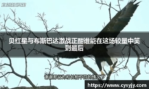 贝红星与布斯巴达激战正酣谁能在这场较量中笑到最后